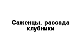 Саженцы, рассада клубники